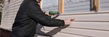 Best Custom Trim and Detailing for Siding  in Beechwood, MS